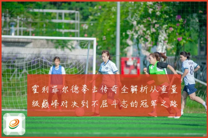 霍利菲尔德拳击传奇全解析从重量级巅峰对决到不屈斗志的冠军之路