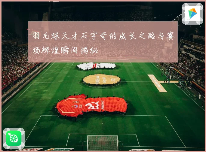 羽毛球天才石宇奇的成长之路与赛场辉煌瞬间揭秘