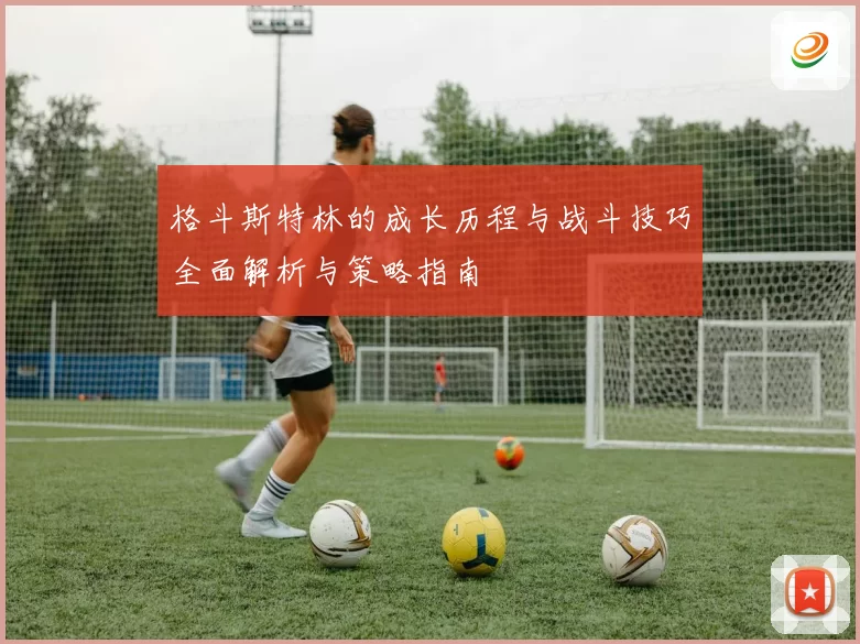 格斗斯特林的成长历程与战斗技巧全面解析与策略指南
